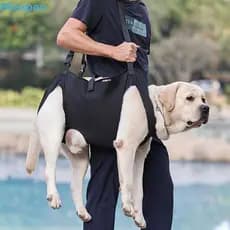 EXPEN1 Arnês Para Elevação De Cães , Suporte Portátil Pernas , Transportador De Estilingue Alça Grossa , Colete De Anima