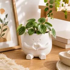 Vaso Decorativo Moderno Minimalista Decorativo p/ plantas, vaso fofo, cachepot