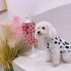Colete de Pelúcia para Animais de Estimação, Roupa para Cães, Colete de Pelo de Coelho para Outono e Inverno, Roupa Quen