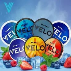 Bolsa Zyn contém batom portátil sem solução velo linda bolsa labial tiro no mesmo dia entrega no mesmo dia