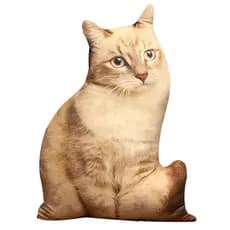 Travesseiro de gato fofo brinquedo de pelúcia menina sofá sala de estar travesseiro almofada boneca presente