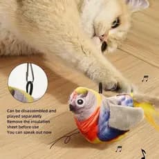 Brinquedo Interativo para Gatos em Forma de Pássaro com Penas e Ventosa, Acessório Divertido para Gatinhos Brincarem, ZC
