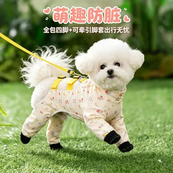 Cão de estimação Outing sapatos de água pequenos médios grandes cães quatro estações confortável respirável cinta-estilo