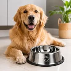 Tigelas de aço inoxidável para cães e gatos Comedouro e Bebedouro Inox Antiderrapante 100g - 1,2kg