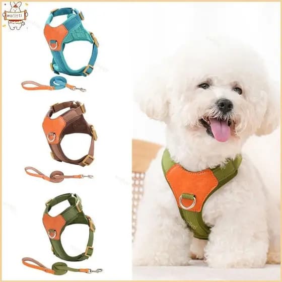 Arnês Para Cães Pequenos Colete Treinamento Puxar Design Trela Ideal Filhotes E Raças Pequenas