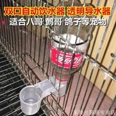 Papagaio pombo automático pássaro fonte potável dupla porta guia de água potável Myna Pet pombo suprimentos