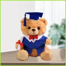 Urso de Graduação 2025, Boneco de Pelúcia de 9,8 Polegadas com Chapéu e Saia, Edição Comemorativa aopoimy