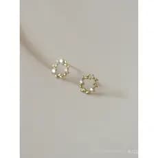 Brincos de prata esterlina S925 banhados a ouro para mulheres, com zircônia em formato de folha e coroa de flores, elega