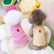 Roupa leve de verão para animais de estimação, para gatos e cães, cães de raças pequenas como Bichon, Pomeranian e Teddy