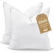 Enchimentos para Almofadas Decorativas BHZ Euro, 22x22, Alternativa de Plumas de Pena, Conjunto de 2, Enchimentos Grande