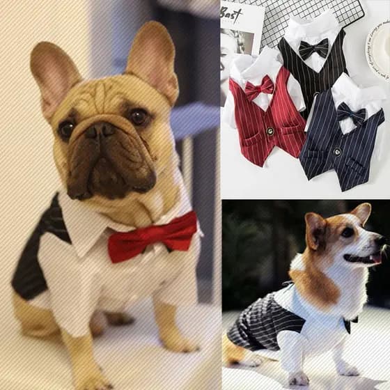 Camisa Formal para Cães, Roupa de Príncipe para Casamento e Festa, Terno com Gravata Borboleta, Casaco para Filhotes, Tr
