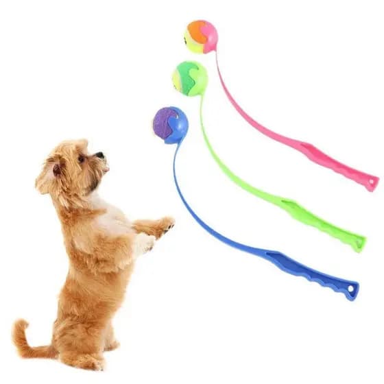 Lançador De Bola De Tênis Para Animais De Estimação , Manual , Atividades Ao Ar Livre , Brinquedos De Treinamento Cães