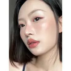 A maquiagem está faltando!Escova de destaque em forma de leque, escova Facial para iniciantes com brilho preciso, macia,