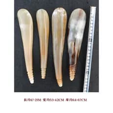 Natural branco chifre de iaque raspagem placa massagem raspagem colher corpo inteiro Universal pé raspagem massagem vara
