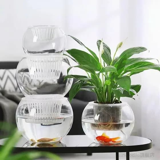 Simples e moderno planta hidropônica vaso de vidro hidropônico verde endro planta verde arranjo flor vaso sala estar mes