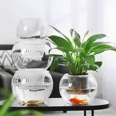 Simples e moderno planta hidropônica vaso de vidro hidropônico verde endro planta verde arranjo flor vaso sala estar mes