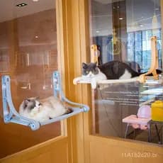 Rede para gatos Leyoupai, ninho para gatos com ventosa para vidro de janela, espreguiçadeira para animais de estimação,