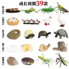 Modelos de animais simulados, mini animais, sapo, tartaruga, caracol, galo, borboleta, salmão, brinquedo de ciclo de cre