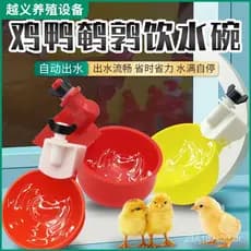 Bebedouro para galinhas, bebedouro automático para aves, bebedouro para patos, gansos, pombos, equipamento para gado.