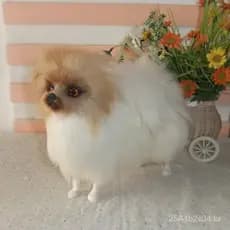 Cão Pomeranian Simulado, Cão Raposa, Altura 20,5cm, Decoração de Casa com Pelo Simulado, Acessório para Fotografia