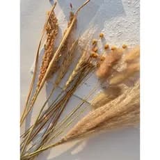 Flor Feliz, Espigas de Trigo, Erva-rabo-de-coelho, Buquê de Flores Secas, Acessórios para Fotografia, Adereços para Foto