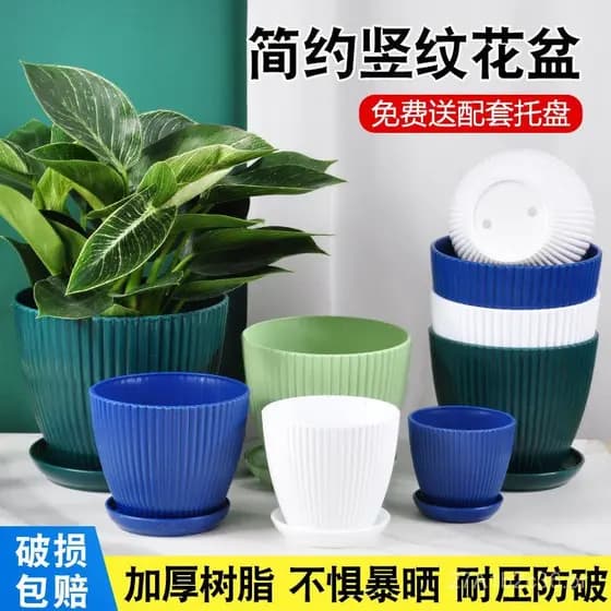 Novos vasos de plástico simples e espessos com base reforçada para plantas verdes, vasos coloridos para plantio no ataca