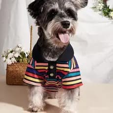 Novas camisas POLO listradas para primavera e outono no estilo ins, novas roupas para cães, vestuário para gatos, roupas