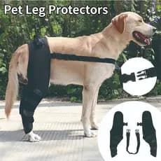 Protetores De Perna De Cachorro Capa Protetora De Joelho Hind Leg Armação De Proteção Contra Lesões Nas Articulações De