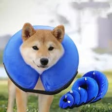 Coleira Inflável Para Cães , Recuperação Quente E Macia , Ajustável , Evita Lamber