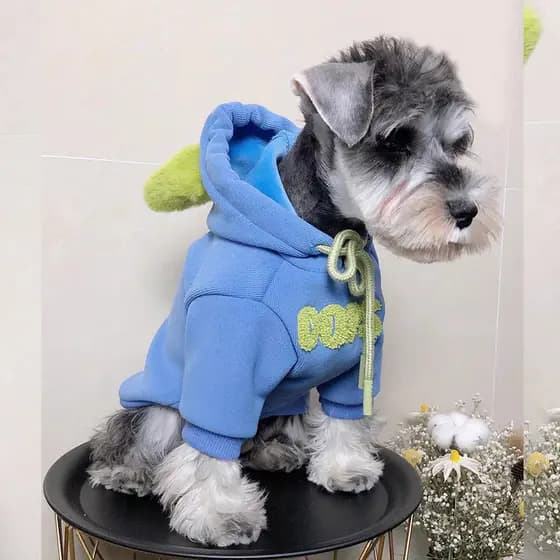 Roupas Finas para Cães, Tendência Outono Inverno, para Limpeza Veterinária, Teddy, Corgi, Bulldog Francês, Gato, Cão Peq