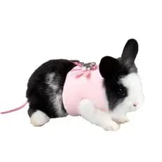 Roupas para vison e ouriço JizaiZai, vestuário de primavera e verão para chinchilas, coleira para pequenos animais de es