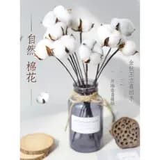 Buquê de algodão seco flores preservadas adereços de tiro foto ornamentos decoração Kapok flores falsas influenciador si