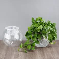Jiadongli criativo vaso hidropônico planta vaso tanque de peixes engrossado verde endro rosa suculenta vaso de flores or