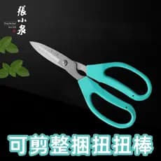 Zhang Xiaoquan artesanal diy dedicado tesoura de aço inoxidável torção barra fio ferro Floral jardinagem aparar ramo fer