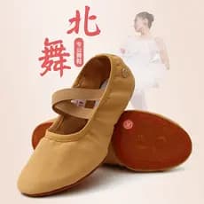 Dança do norte novo estilo sapatos de dança feminino sola macia sapatos de prática do corpo adulto sapatos de balé sapat