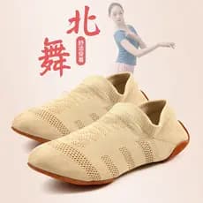 Sapatos de dança do norte sapatos de dança feminino sola macia professor prática sapatos adulto Ballet voando tecido ren