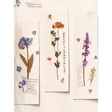 Sr. Adesivos de papel para animais de estimação, flores secas, margaridas, plantas frescas, estilo nórdico, decoração de