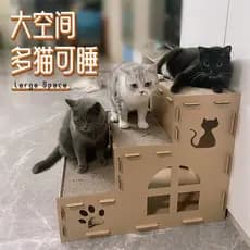 Placa de arranhar para gatos, papel ondulado, maca para gatos, casa integrada, Villa, Extra grande, caixa de papelão, ca