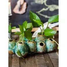 Juhan vaso de vime vaso de flores vaso de flores poroso musgo endro verde hidropônico chá Zen animal de estimação novo e