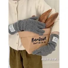 2025 inverno novo estilo coreano luvas de lã feminino inverno simples conveniente sem dedos tela toque ins feminino alon