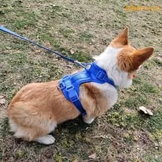 Colete De Arnês Para Cães EBONIE , Alça Peitoral Reflexiva Respirável , Chihuahua Em Cor Doce PVC