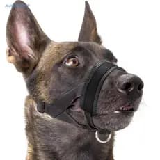 BLUEVELVETSP Focinho Para Cachorro Seguro E Macio Cães Pequenos Grandes , Anti Latidos , Ajustável , Suave , Máscara Buc