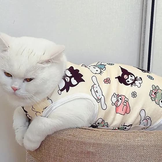 2025 novo estilo roupas de gato estilo fino primavera verão malha respirável colete Teddy Pomeranian Bichon Muppet gato