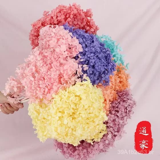 Buquê de Flores Secas Preservadas de Hidrangea Anna de Yunnan, Haste Única, Atacado, Flores Preservadas DIY, Acessórios