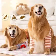 Protetor De Cotovelo De Cachorro Listras De Desenho Animado Para Golden Retriever Labrador Perna De Raça Média E Grande