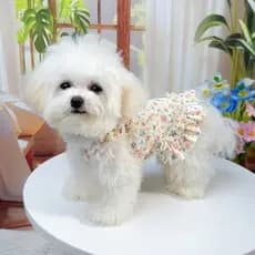 Pet Cat and Dog Ruffle Floral Dress