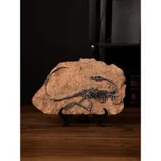 Simulação criativa dinossauro fóssil ornamentos Retro tiranossauro Rex amostra artesanato ornamentos escritório Desktop