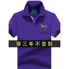 Verão de manga curta camiseta masculina lapela bordado camisa Polo Paul 2026 novo estilo meia manga camiseta de alta-