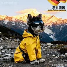 Cão jaqueta ao ar livre pequeno cão de tamanho médio à prova dwaterproof água rua Wear Teddy Bichon Schnauzer gato outon