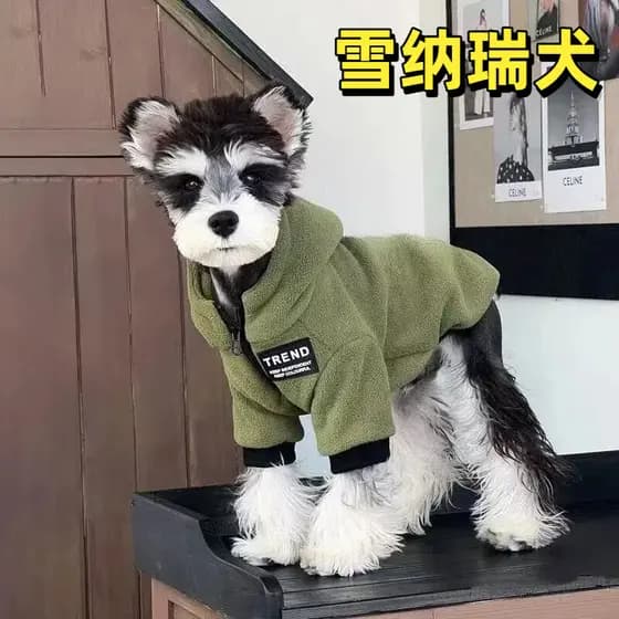 Schnauzer roupas para cães inverno cães pequenos cães Teddy Pomeranian animais de estimação quentes engrossado forro de
